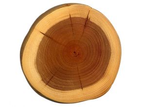 Cung cấp các loại gỗ